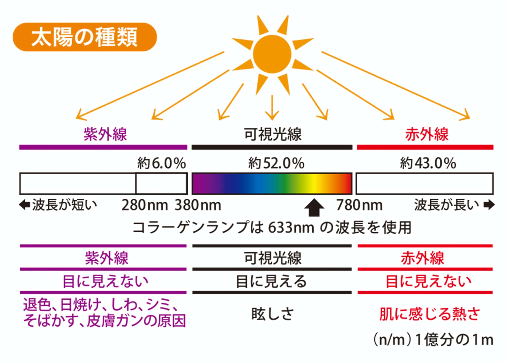 コラーゲン生成イメージ